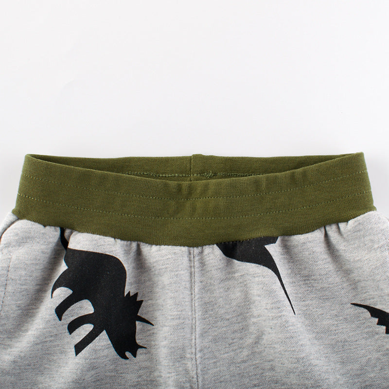 Dinosaur Print Gray Shorts for Boys