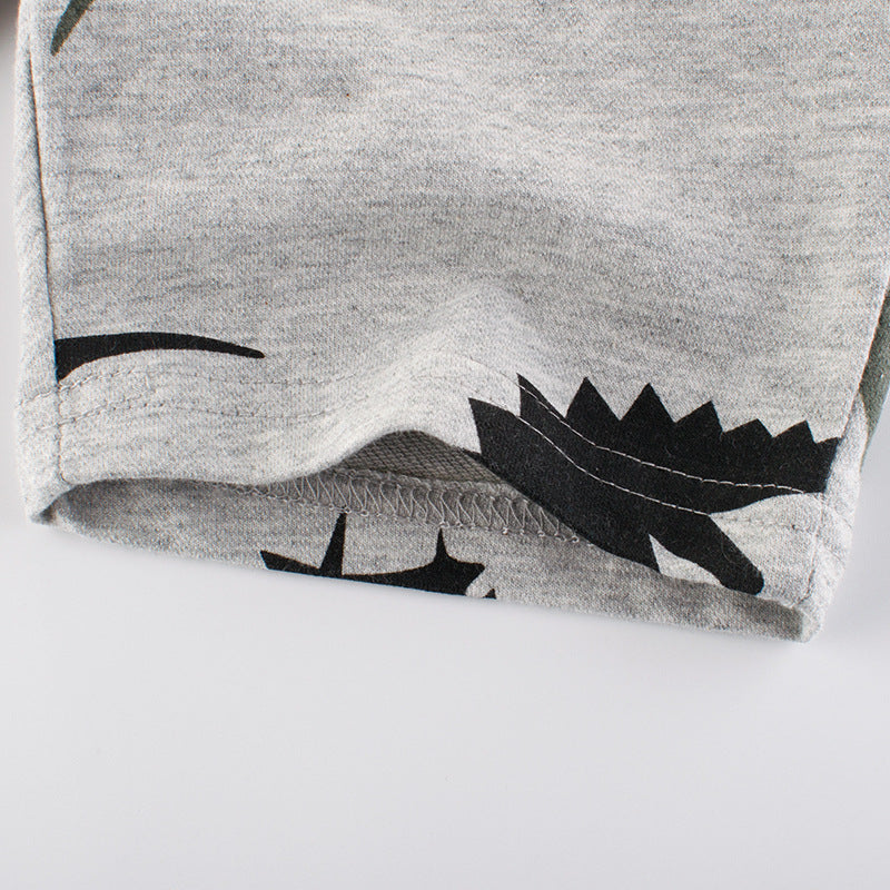 Dinosaur Print Gray Shorts for Boys