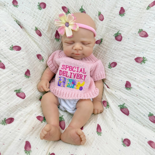30cm Full Silicone Pascale Reborn Doll Girl in Pink Sweater