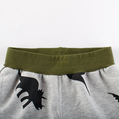 Dinosaur Print Gray Shorts for Boys