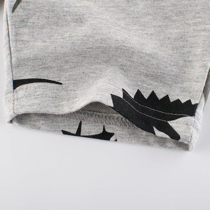 Dinosaur Print Gray Shorts for Boys